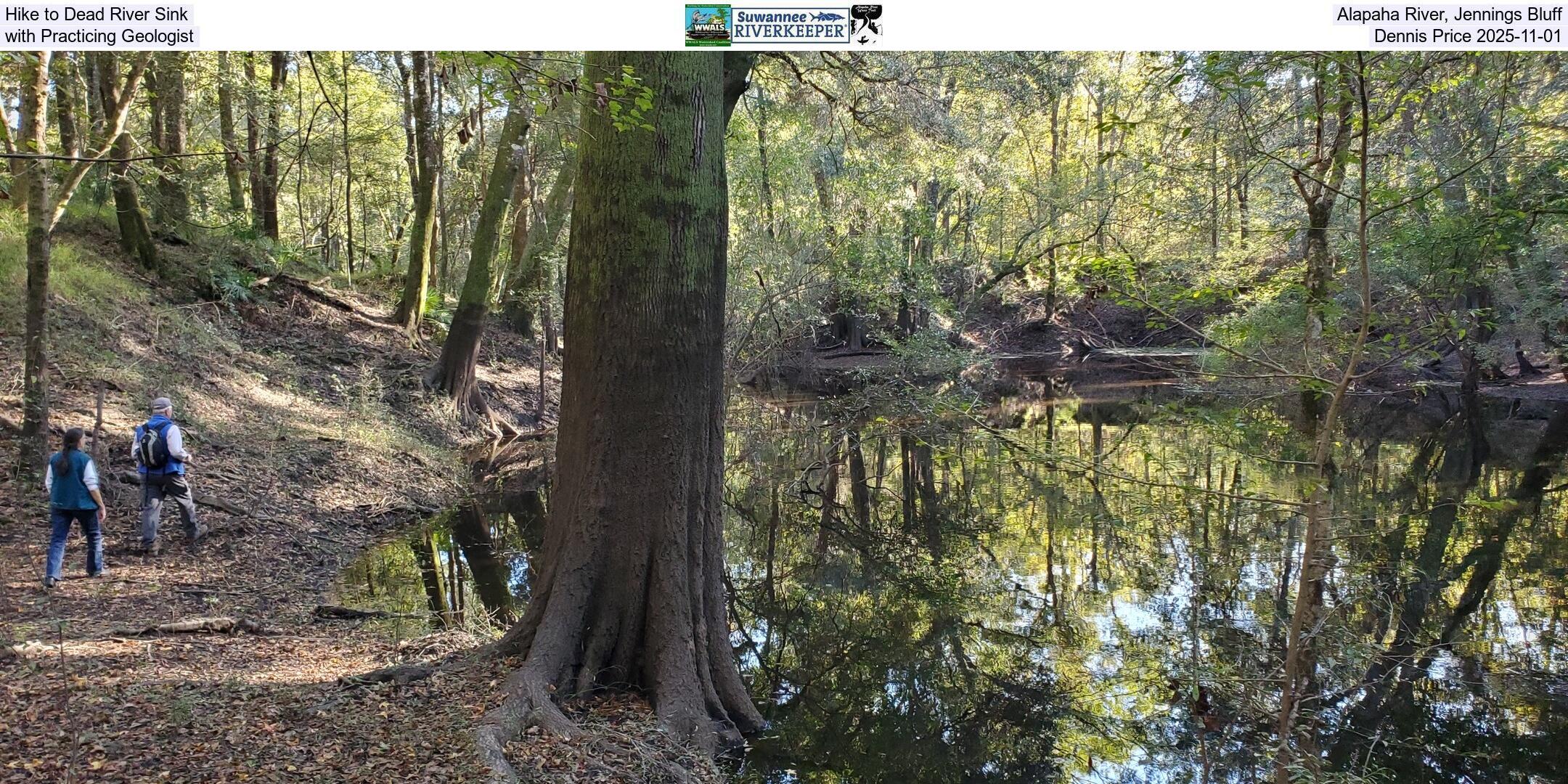 Hike to Dead River Sink, Alapaha River, Jennings Bluff, with Practicing Geologist Dennis Price 2025-11-01