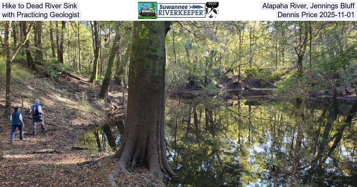 Hike to Dead River Sink, Alapaha River, Jennings Bluff, with Practicing Geologist Dennis Price 2025-11-01