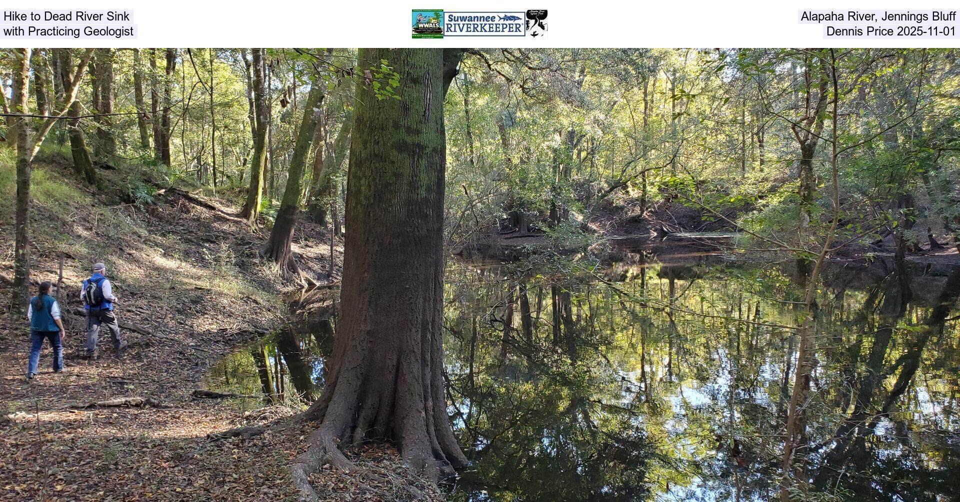 Hike to Dead River Sink, Alapaha River, Jennings Bluff, with Practicing Geologist Dennis Price 2025-11-01