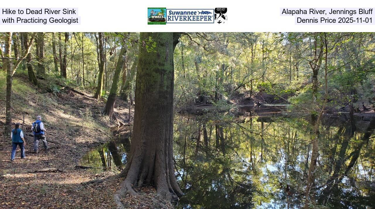 Hike to Dead River Sink, Alapaha River, Jennings Bluff, with Practicing Geologist Dennis Price 2025-11-01