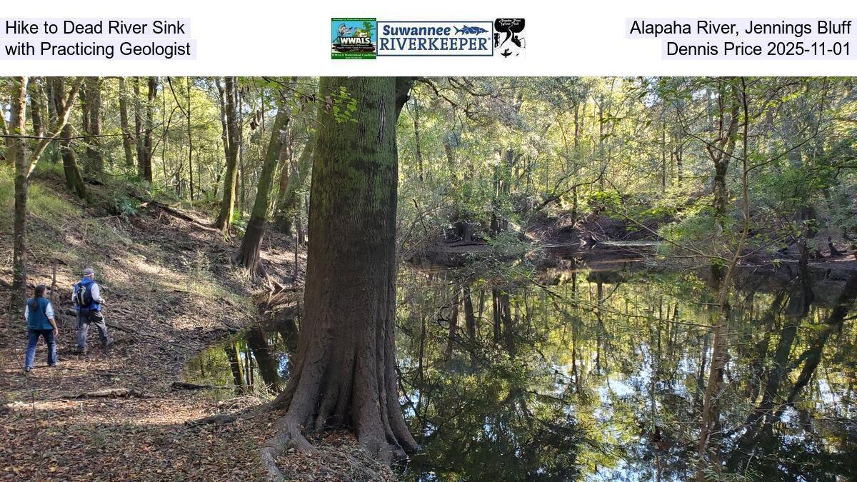 Hike to Dead River Sink, Alapaha River, Jennings Bluff, with Practicing Geologist Dennis Price 2025-11-01