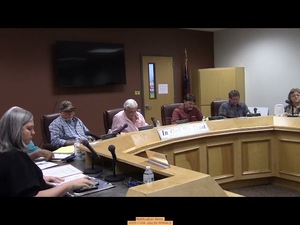 [Ratification Items]