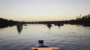 [Movie: Alligator will not bellow when we want it to (23M), 2025-11-05 --jsq for WWALS]