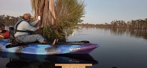 [Chris Turtleman Adams observing the bat tree, 2025-11-05 --jsq for WWALS]