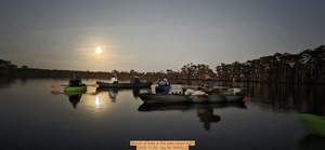 [Bunch of bats in the pale moon light, 2025-11-05 --jsq for WWALS]