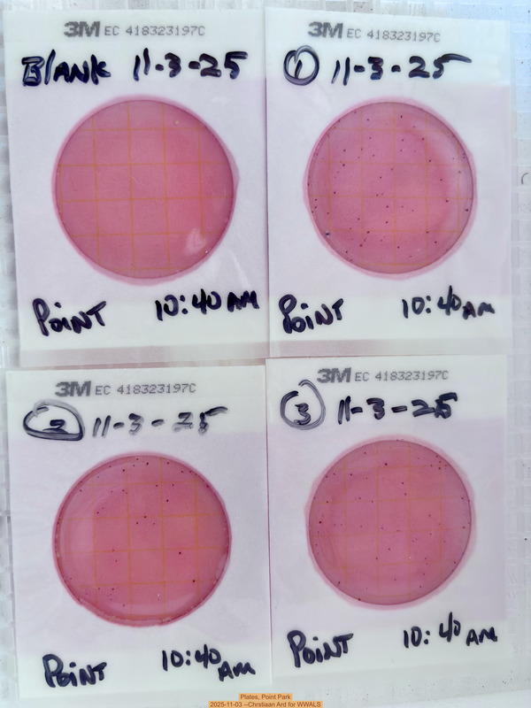 Plates, Point Park 2025-11-03 --Chrstiaan Ard for WWALS