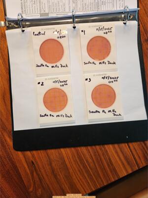 [Plates, Mills Dock 2025-11-05 --Bob Mills and Kurt Hurzeler for WWALS]