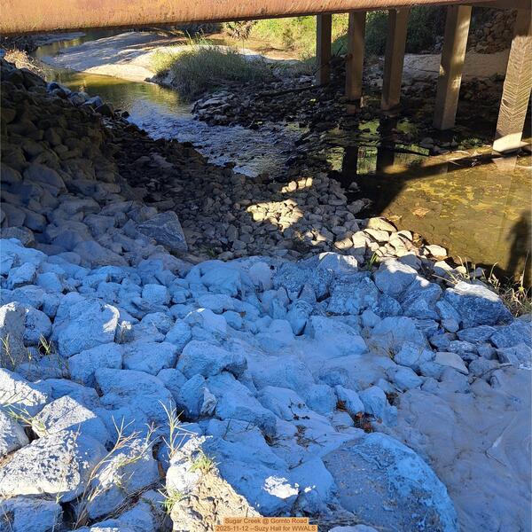 [Sugar Creek @ Gornto Road 2025-11-12 --Suzy Hall for WWALS]