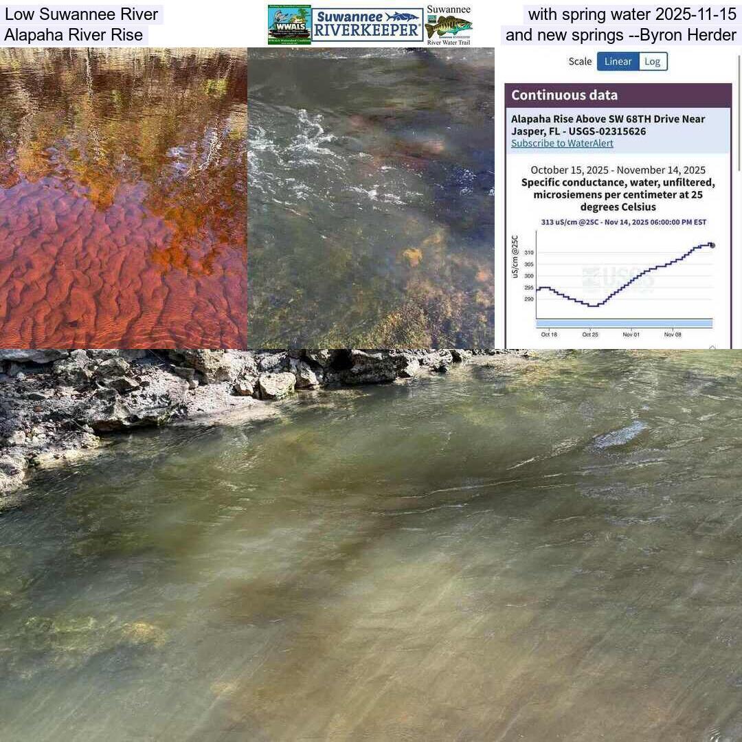 Low Suwannee River with spring water 2025-11-15, Alapaha River Rise and new springs --Byron Herder