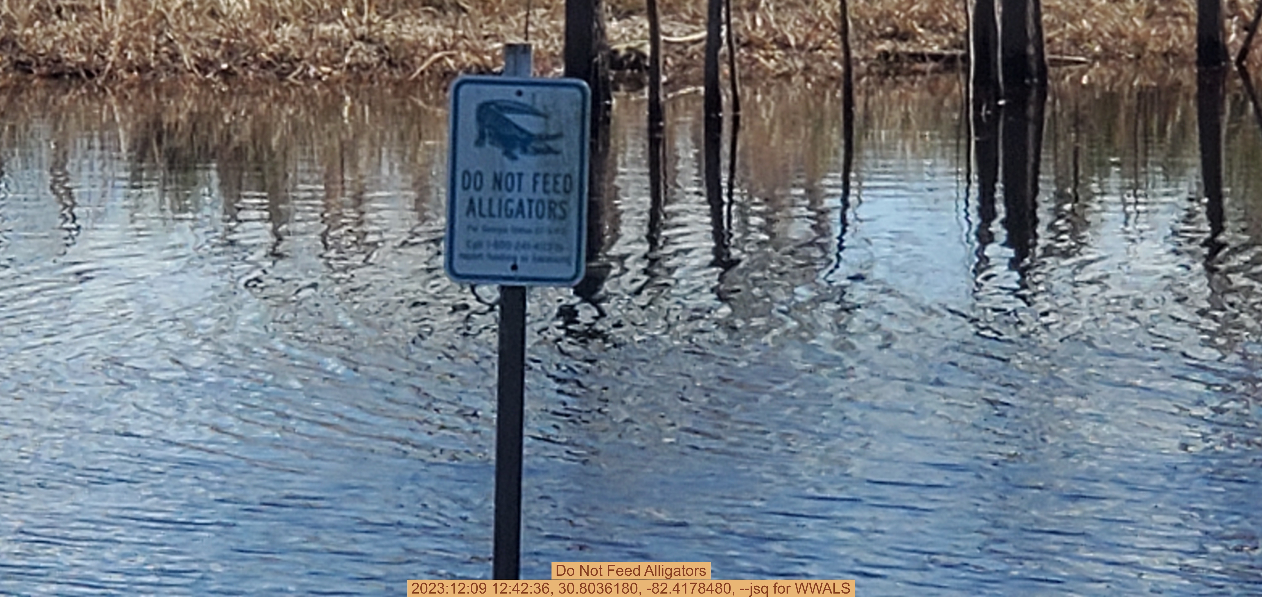 Do Not Feed Alligators, 2023:12:09 12:42:36, 30.8036180, -82.4178480, --jsq for WWALS