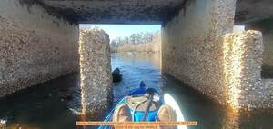 [Movie: Through the second gate, which is always open (46M), 30.8164, -82.41356, 2023-12-09 --jsq for WWALS]