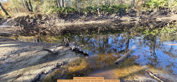 Context, Withlacoochee Trickle, 2025:11:17 09:24:56, 31.0131025, -83.3015093 --jsq for WWALS