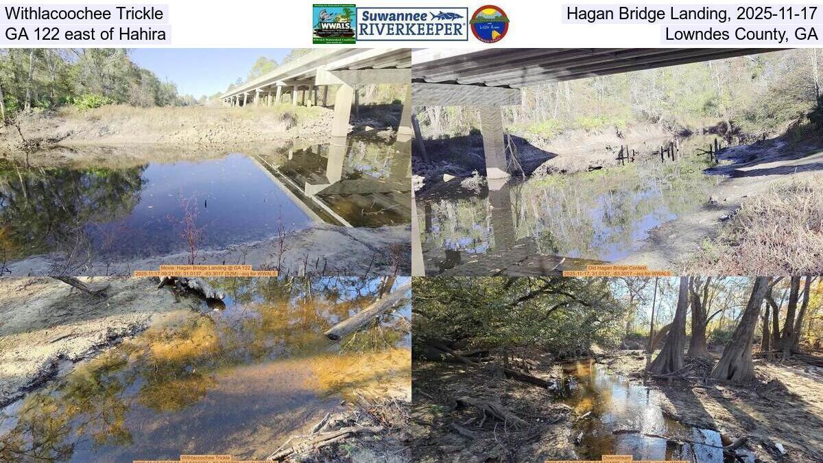 Withlacoochee Trickle, Hagan Bridge Landing, 2025-11-17, GA 122 east of Hahira, Lowndes County, GA