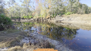 [Downstream from Hagan Bridge, 2025-11-17, 31.0137, -83.3017 --jsq for WWALS]