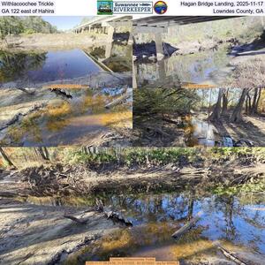 [Withlacoochee Trickle, Hagan Bridge Landing, 2025-11-17, GA 122 east of Hahira, Lowndes County, GA]