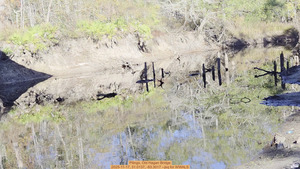 [Pilings, Old Hagan Bridge, 2025-11-17, 31.0137, -83.3017 --jsq for WWALS]