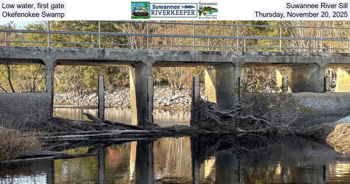 Low water, first gate, Suwannee River Sill, Okefenokee Swamp, Thursday, November 20, 2025