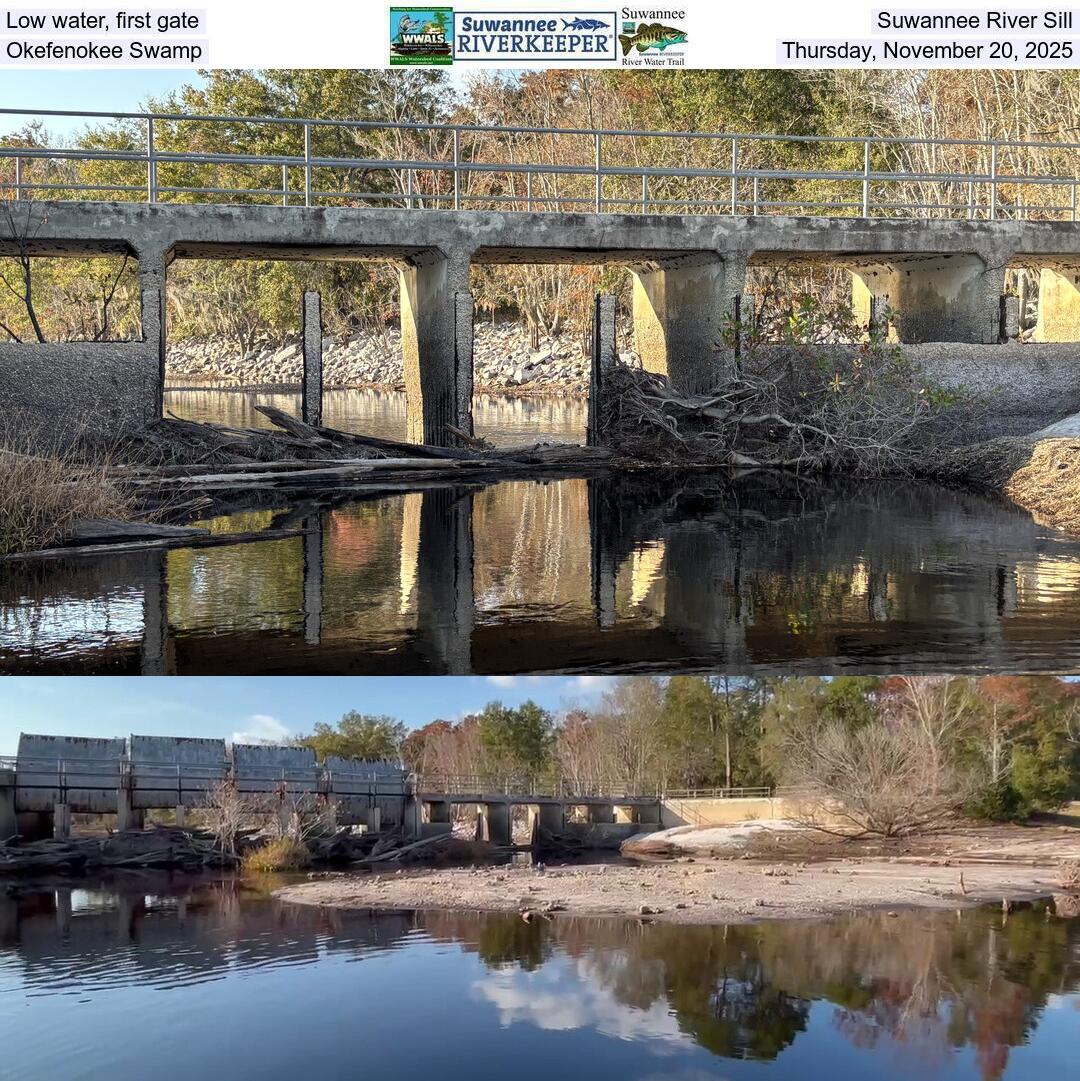Low water, first gate, Suwannee River Sill, Okefenokee Swamp, Thursday, November 20, 2025
