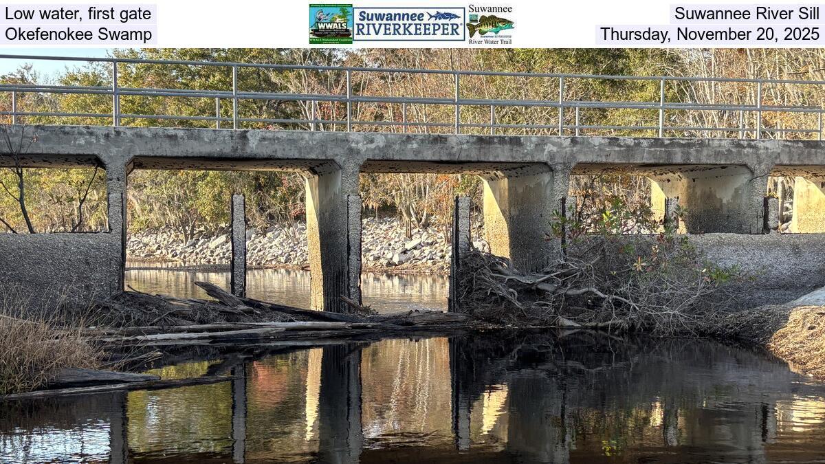 Low water, first gate, Suwannee River Sill, Okefenokee Swamp, Thursday, November 20, 2025
