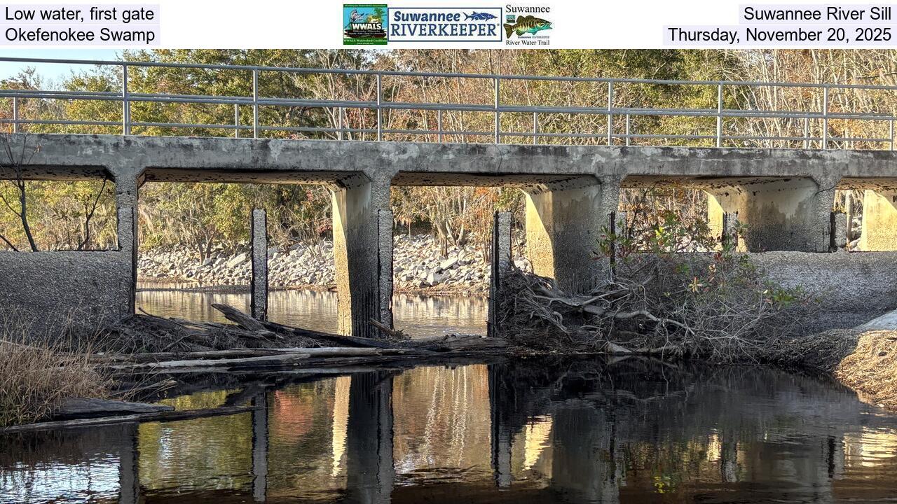 Low water, first gate, Suwannee River Sill, Okefenokee Swamp, Thursday, November 20, 2025