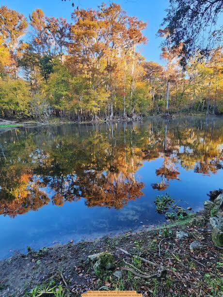 Mills Dock, Santa Fe River @ NW 282nd Dr 2025-11-19 --Bob Mills and Kurt Hurzeler for WWALS
