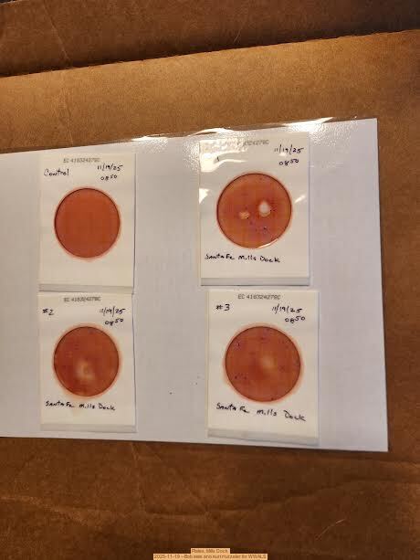 Plates, Mills Dock 2025-11-19 --Bob Mills and Kurt Hurzeler for WWALS