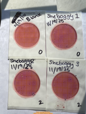 [Plates, Sheboggy Boat Ramp 2025-11-19 --Heather Brasell for WWALS]