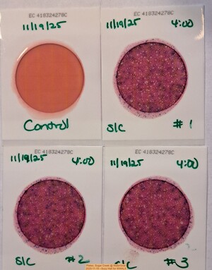 [Plates, Sugar Creek @ WaterGoat 2025-11-19 --Suzy Hall for WWALS]