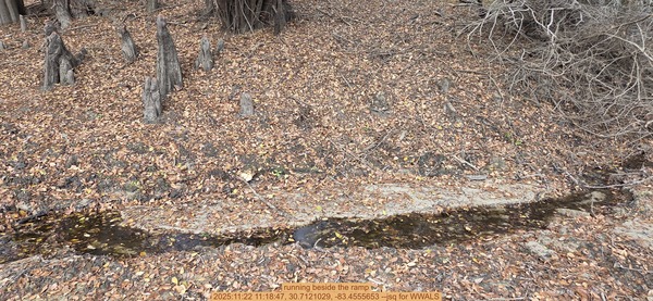 running beside the ramp, 2025:11:22 11:18:47, 30.7121029, -83.4555653 --jsq for WWALS