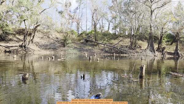 Movie: Pilings of old Knights Ferry Bridge, 2025:11:22 11:28:58, 30.7110332, -83.4547540 (20M) --jsq for WWALS