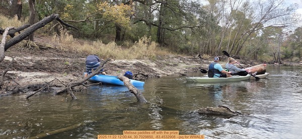 Melissa paddles off with the prize, 2025:11:22 12:00:44, 30.7029850, -83.4532908 --jsq for WWALS