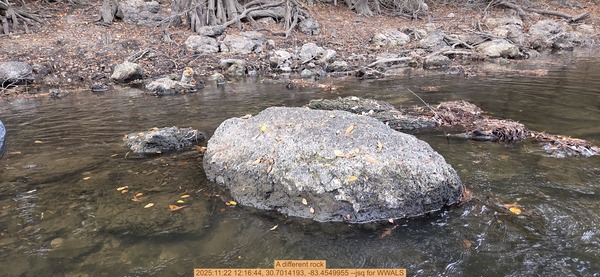 [A different rock, 2025:11:22 12:16:44, 30.7014193, -83.4549955 --jsq for WWALS]