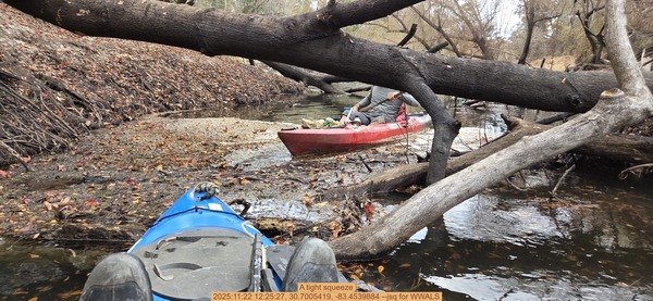 [A tight squeeze, 2025:11:22 12:25:27, 30.7005419, -83.4539884 --jsq for WWALS]