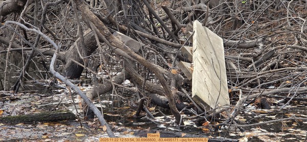 [Risers, 2025:11:22 12:53:54, 30.6968800, -83.4495171 --jsq for WWALS]