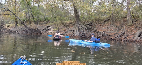 [Trash by gnarly roots, 2025:11:22 14:56:49 --jsq for WWALS]