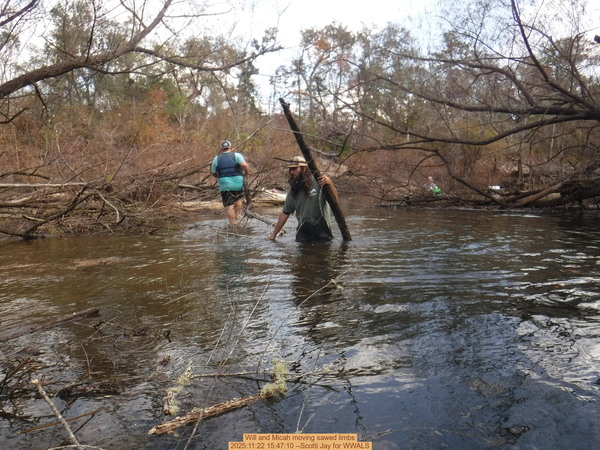 Will and Micah moving sawed limbs, 2025:11:22 15:47:10 --Scotti Jay for WWALS