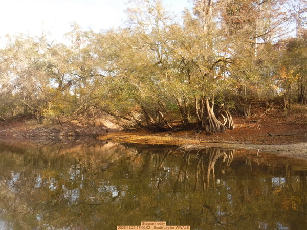 Stagnant eddy, 2025:11:22 17:00:02 --Scotti Jay for WWALS