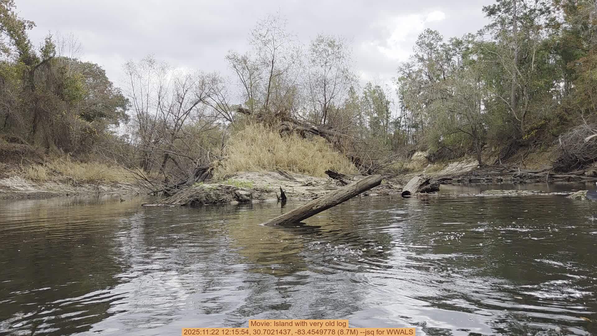 Movie: Island with very old log, 2025:11:22 12:15:54, 30.7021437, -83.4549778 (8.7M) --jsq for WWALS