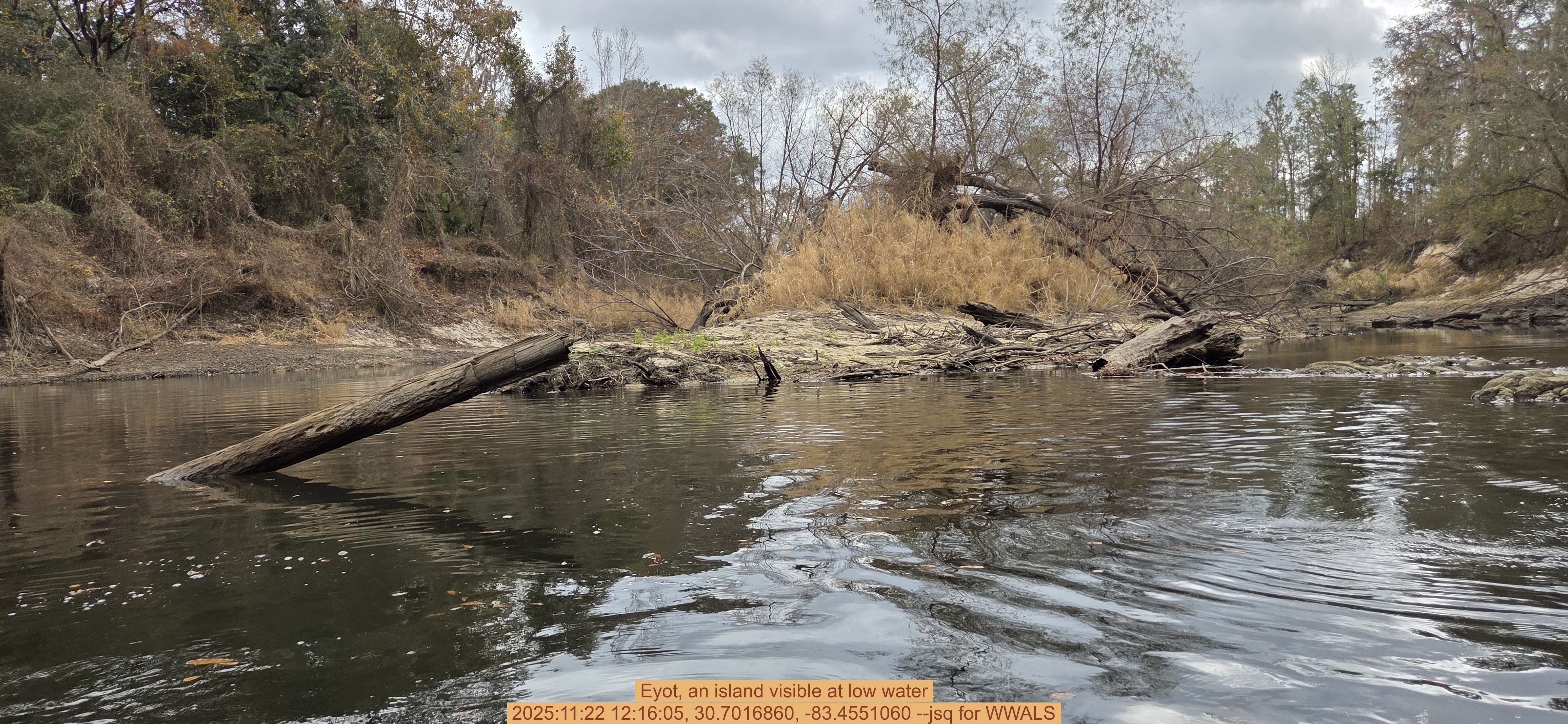 Eyot, an island visible at low water, 2025:11:22 12:16:05, 30.7016860, -83.4551060 --jsq for WWALS