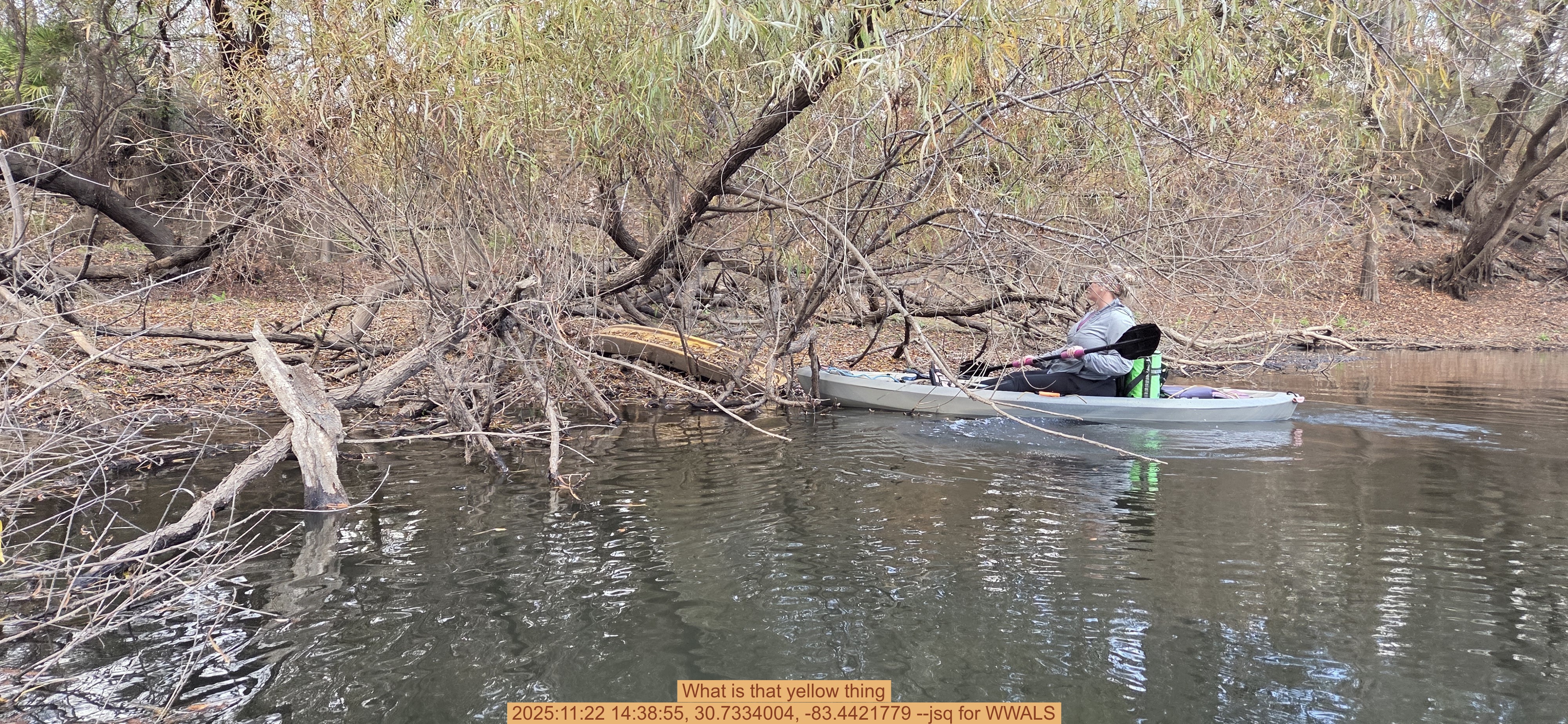 What is that yellow thing, 2025:11:22 14:38:55, 30.7334004, -83.4421779 --jsq for WWALS