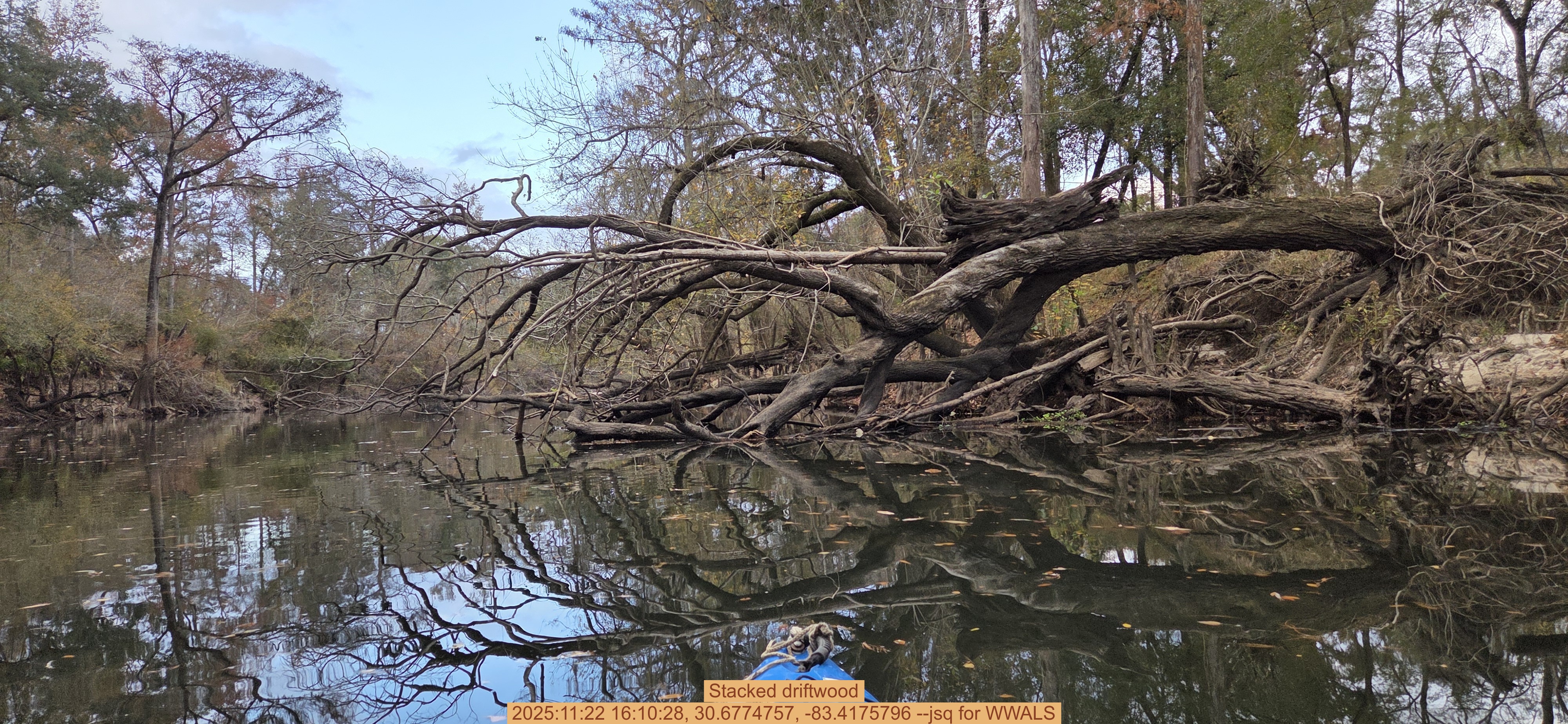 Stacked driftwood, 2025:11:22 16:10:28, 30.6774757, -83.4175796 --jsq for WWALS