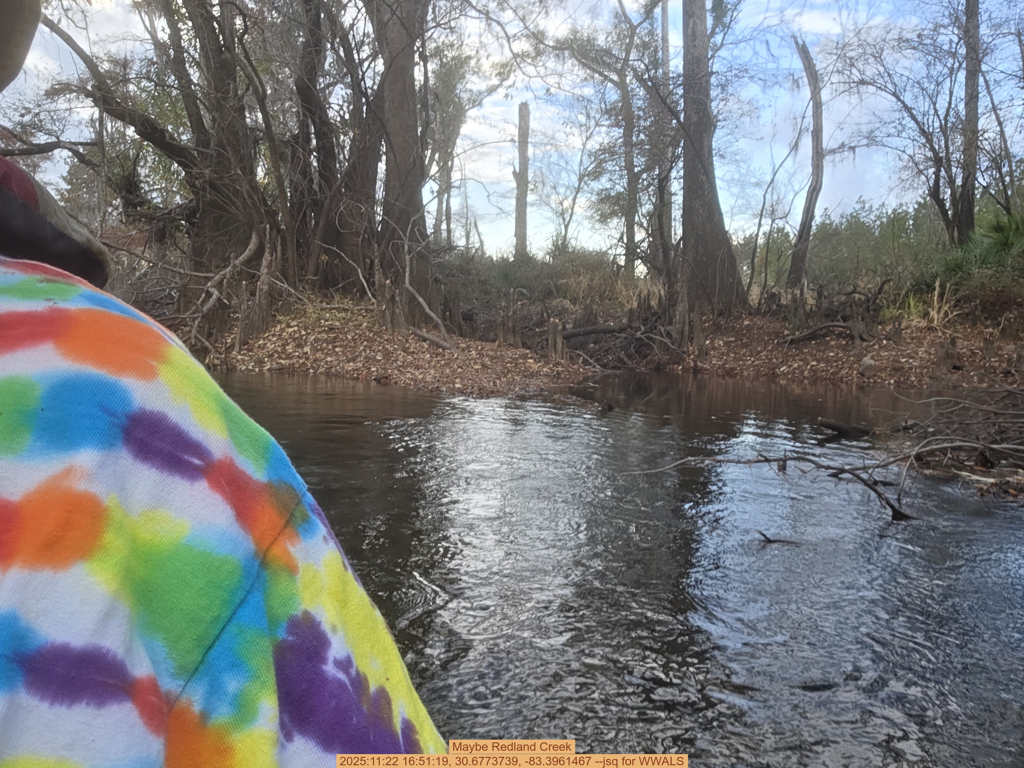 Maybe Redland Creek, 2025:11:22 16:51:19, 30.6773739, -83.3961467 --jsq for WWALS