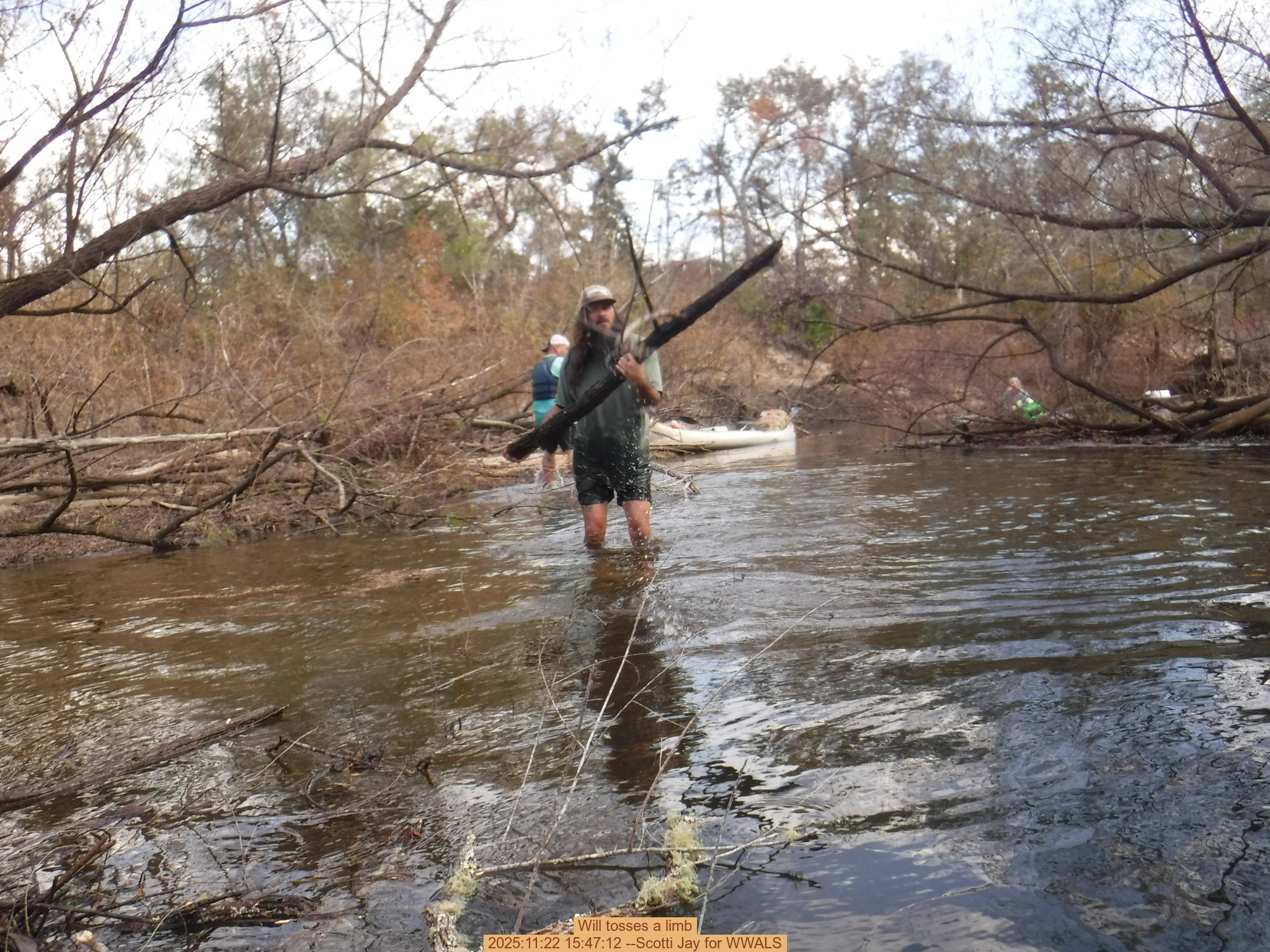 Will tosses a limb, 2025:11:22 15:47:12 --Scotti Jay for WWALS