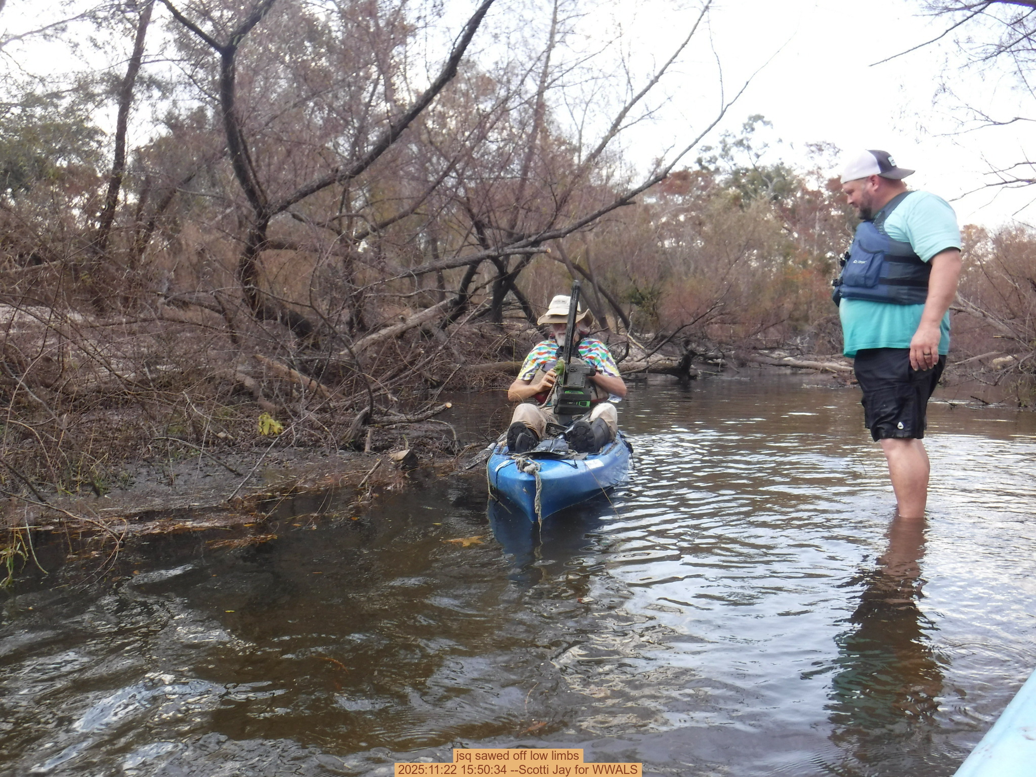 jsq sawed off low limbs, 2025:11:22 15:50:34 --Scotti Jay for WWALS