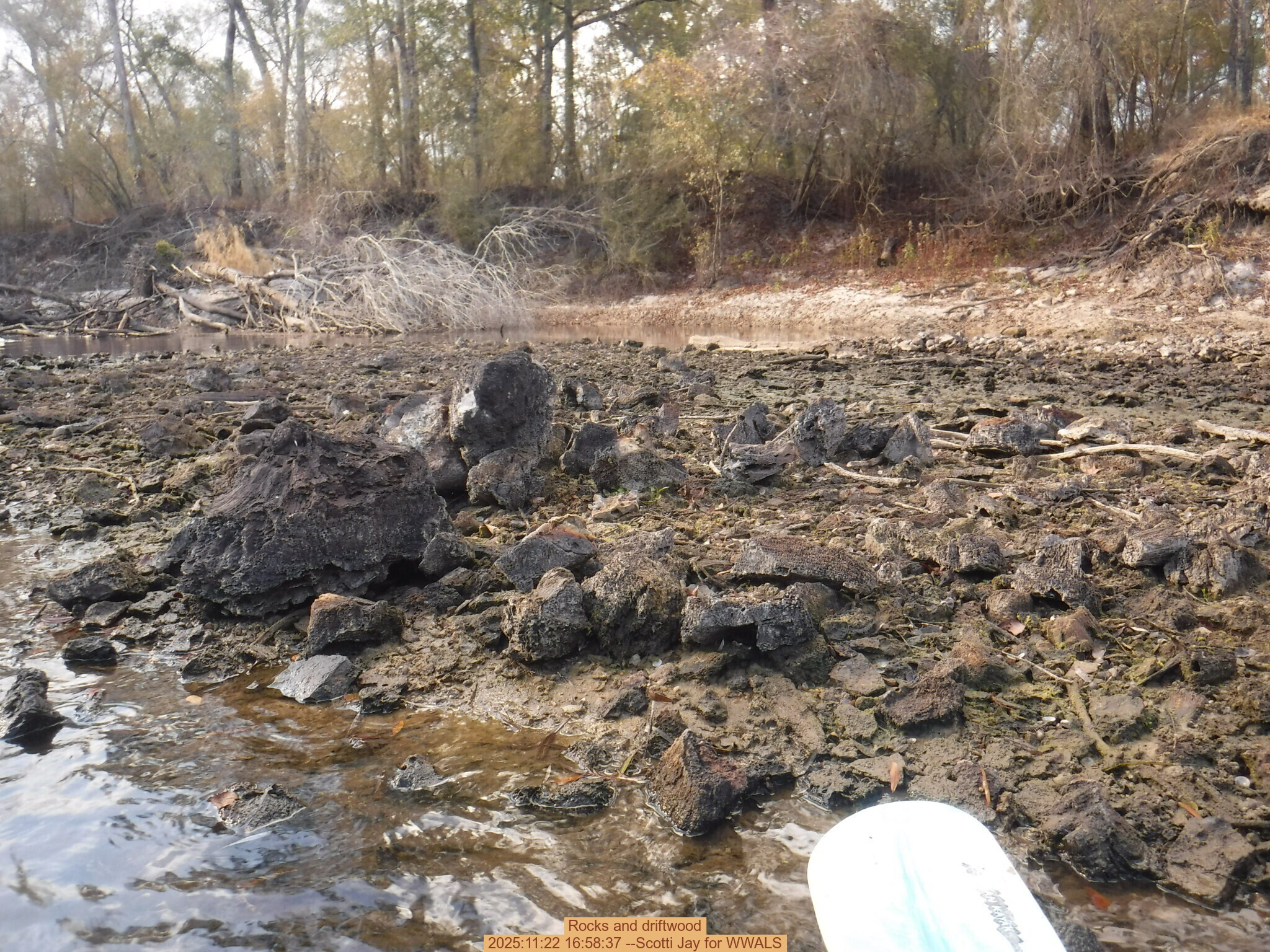 Rocks and driftwood, 2025:11:22 16:58:37 --Scotti Jay for WWALS