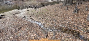 [into the river, 2025:11:22 11:18:48, 30.7121029, -83.4555653 --jsq for WWALS]