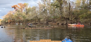 [Rocks and Palmettos, 2025:11:22 16:36:52, 30.6748350, -83.4044191 --jsq for WWALS]