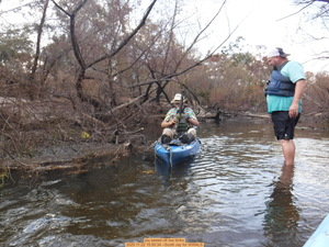 [jsq sawed off low limbs, 2025:11:22 15:50:34 --Scotti Jay for WWALS]