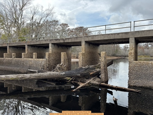 [Second Gate, Suwannee River Sill, 2025:11:26 12:09:58, 30.8163778, -82.4135750 --Shirley Kokidko]