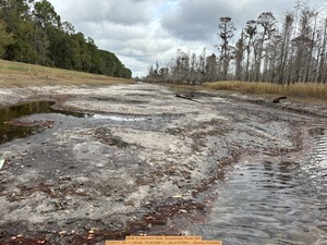 [Walk to Second Gate, Suwannee River Sill, 2025:11:26 11:39:46, 30.8059611, -82.4157861 --Shirley Kokidko]